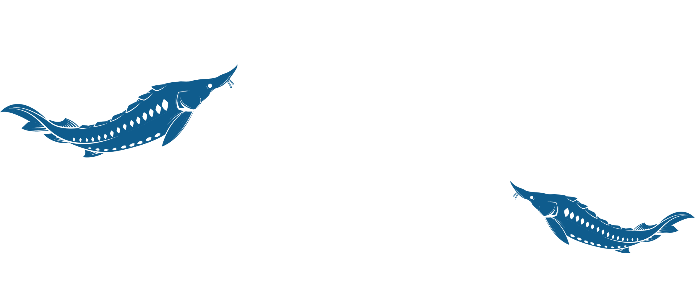 dna image