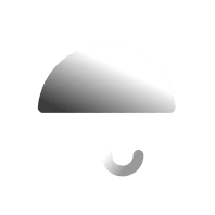 insurance